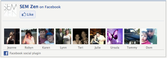 facebook likes box
